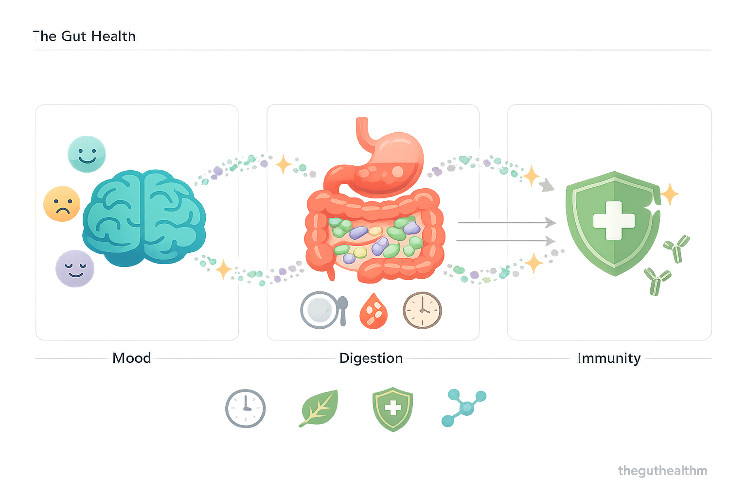 brain gut connection
