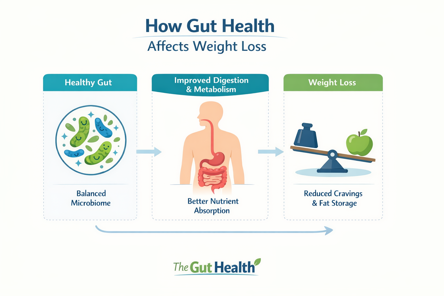 gut health weight loss